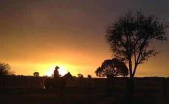 Villa Henderson Park Farm Retreat Yeppoon Exterior foto