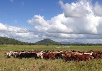 Villa Henderson Park Farm Retreat Yeppoon Exterior foto